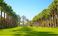 Le Domaine Limoune - Ferienwohnung Oulad Teïma