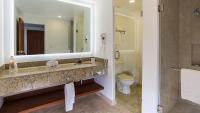 King Suite with Bath and Walk-In Shower