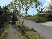 Eko Homestay - B&B
