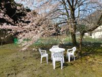 Kamer in Japanse Stijl