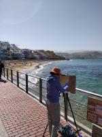 Living Las Canteras Homes - WORKOUT & FREE BIKES - B&B