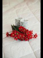 Apartamento de 1 dormitorio (2 adultos)