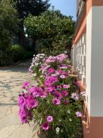 Resort Villa Rosa Maria - Bed and Breakfast Savona
