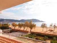 MIRAMAR 9A - B&B Roses