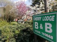 Cherry Lodge - Bed and Breakfast Hook