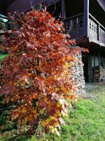 Chalet mit 3 Schlafzimmern