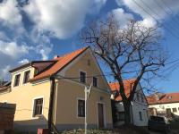 cottage with private swimming pool - B&B