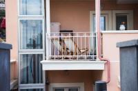 Camera Matrimoniale con Balcone e Vista Mare
