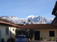Merlo d'Oro - B&B Carrara