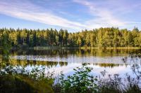 Hus Vena - Schönes Ferienhaus Nähe Vimmerby und Astrid Lindgrens värld - Chambres d’hôtes Vena