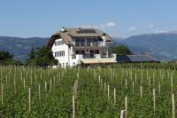 B&B Coltura - Rebhof Kaltern - Bed and Breakfast Coltura