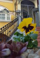 Cork Apartman - B&B Eger