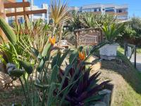 Pousada Swell Bangalos - B&B Farol de Santa Marta