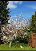 Duangs Sleep'n go - Ferienwohnung Faxe