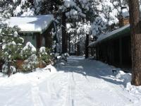TimberLodge Inn - B&B Pinetop-Lakeside