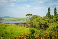 Wetlands Country House & Sheds - B&B Wakkerstroom