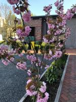 Madera House - B&B Katowice