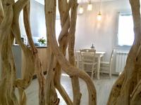 Colibrì House ApartSuite Chioggia - B&B Sottomarina