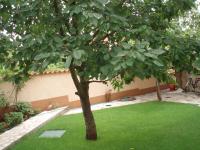Haus Milan AP3 - B&B