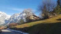 Apartment Lilalama - B&B Grindelwald