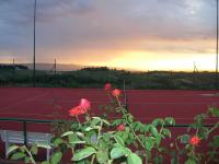 Agriturismo Le Pianore - Chambres d’hôtes Montespertoli