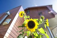 mittendorf klimaresidence - Bed and Breakfast