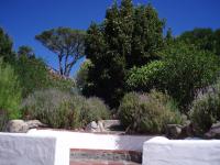 Suite mit Terrasse