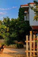 Vineyard Country House with Panoramic Seaview - Ferienwohnung Alexandroupolis