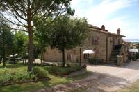 Oliveto di Teodora - B&B Tuoro sul Trasimeno
