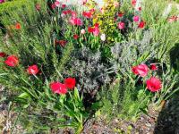 Doppelzimmer mit Gartenblick