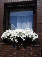 Domki U Skrzata - Chambres d’hôtes Łeba