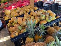 T2 au coeur de Ermitage à 300 mètres du lagon - B&B Saint-Gilles les Bains