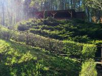 Domek letniskowy "Domek w zieleni" Kaszuby - B&B Łapino