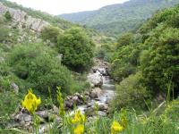 Tourism in the village - B&B ‘Ein Qunīya