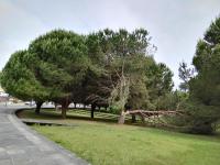 ÁTICOS CON TERRAZA VISTAS URBANOS 100 playa - B&B Sanxenxo