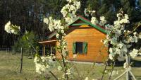 Agroturystyka Polana Harmonii - B&B