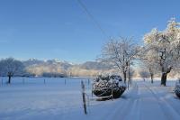 Vakantie Appartement Categorie 1