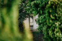 Walpurgis Hexe - B&B Braunlage