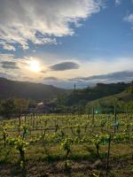 Apartamento con vistas al jardín