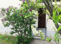 Metro Wilson Apartment - B&B Warsaw
