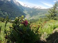 Apartment with Mountain View