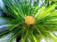 Studio avec Terrasse