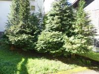 GENTIANES 1 - Bel appartement centre village et proche des pistes - Wifi - Chambres d'hôtes La Clusaz