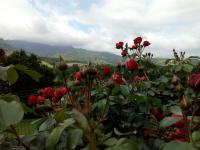 Gîte Etxe Xuri - Ferienwohnung Ossès