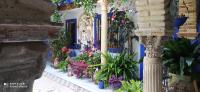 Alojamiento casa típica de Córdoba - B&B Córdoba