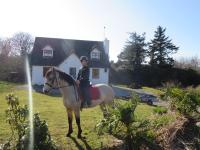 B&B Tullywee Bridge - Letterfrack Farmhouse on equestrian farm in Letterfrack beside Connemara National Park - Bed and Breakfast Tullywee Bridge