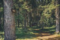 Pidula Forell - Bed and Breakfast Pidula