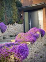 FeWo STRANDGUT- Familien - Hunde - strandnah - eigene Terrasse - Sauna & Wellness - B&B Sierksdorf