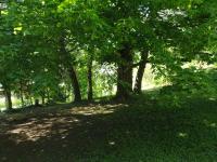 Chalet Tante Emma - B&B Vacheresse