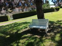 Magnifique deux pièces au calme - B&B Deauville